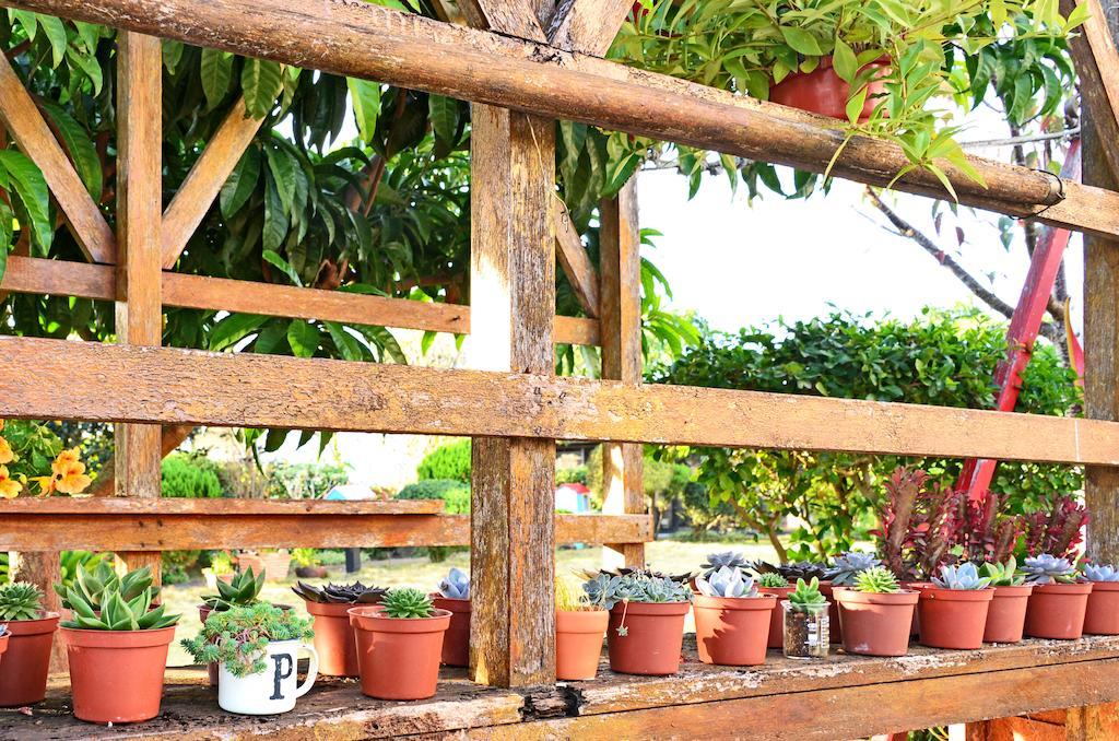 Taichung Xinshe Garden Life Homestay B&B Zewnętrze zdjęcie